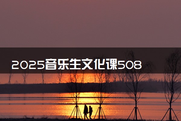 2025音乐生文化课508分能上安徽师范大学吗