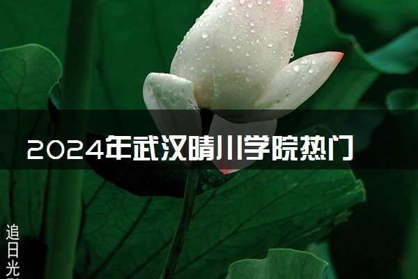 2024年武汉晴川学院热门专业全国排名 有哪些专业比较好