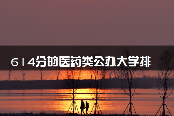 614分的医药类公办大学排行榜（2025考生参考)