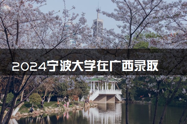 2024宁波大学在广西录取分数线 各专业分数及位次