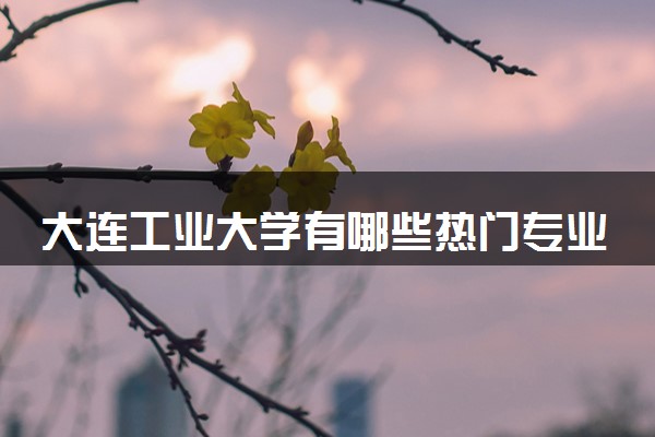 大连工业大学有哪些热门专业 推荐的王牌专业
