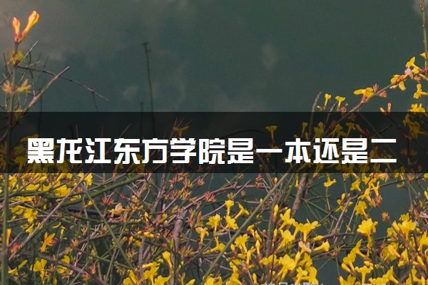 黑龙江东方学院是一本还是二本 算好大学吗