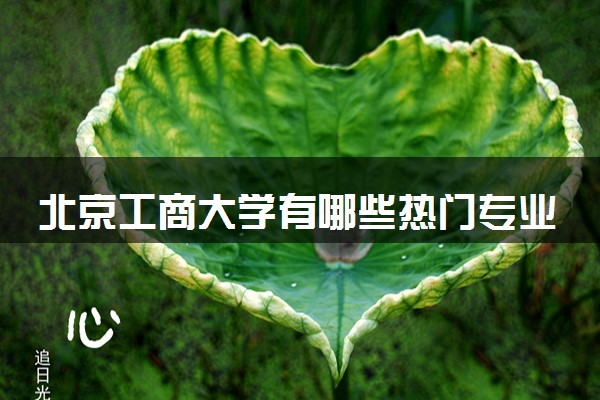 北京工商大学有哪些热门专业 推荐的王牌专业