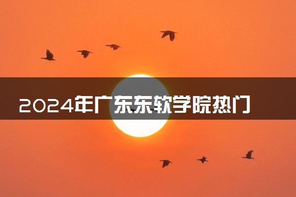 2024年广东东软学院热门专业全国排名 有哪些专业比较好