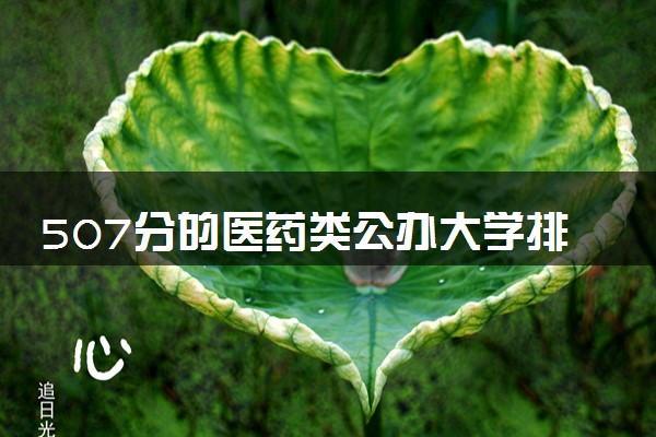 507分的医药类公办大学排行榜（2025考生参考)