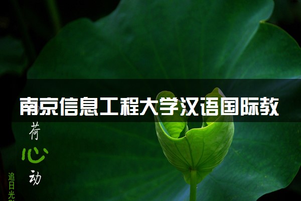 南京信息工程大学汉语国际教育专业怎么样 录取分数线多少