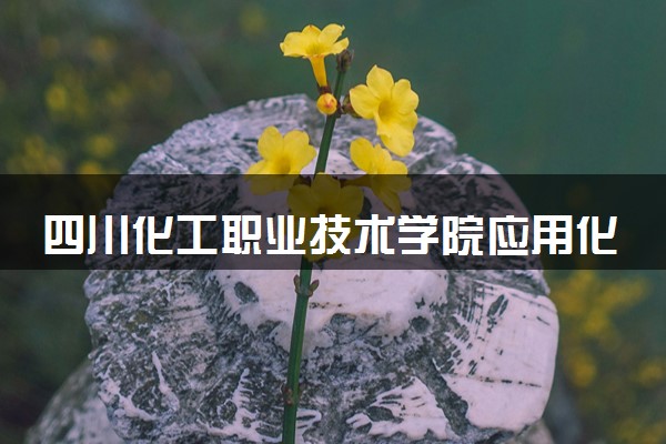 四川化工职业技术学院应用化工技术专业怎么样 录取分数线多少