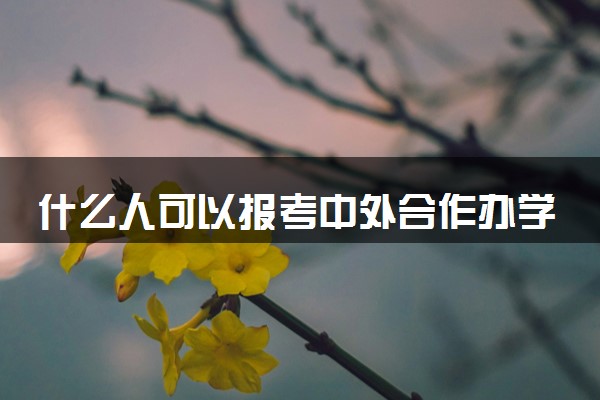什么人可以报考中外合作办学 有前途吗