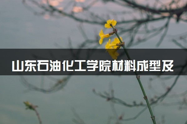 山东石油化工学院材料成型及控制工程专业怎么样 录取分数线多少