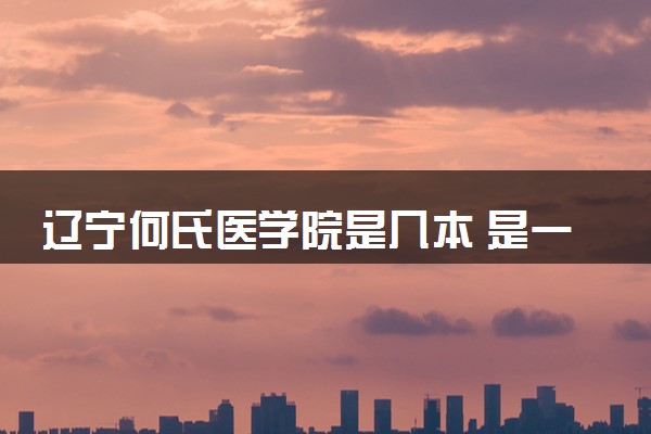 辽宁何氏医学院是几本 是一本还是二本大学