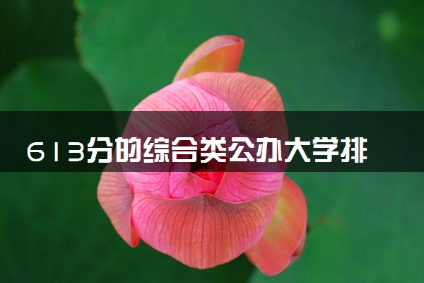 613分的综合类公办大学排行榜（2025考生参考)