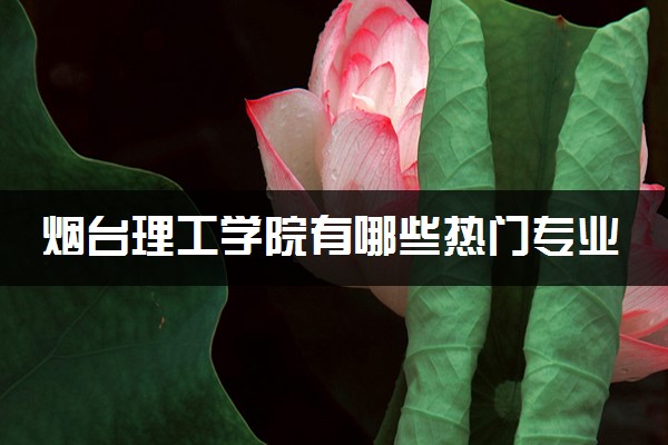 烟台理工学院有哪些热门专业 推荐的王牌专业
