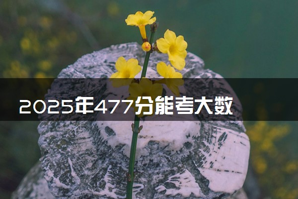 2025年477分能考大数据与会计专业吗 477分大数据与会计专业大学推荐