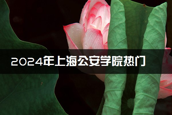 2024年上海公安学院热门专业全国排名 有哪些专业比较好