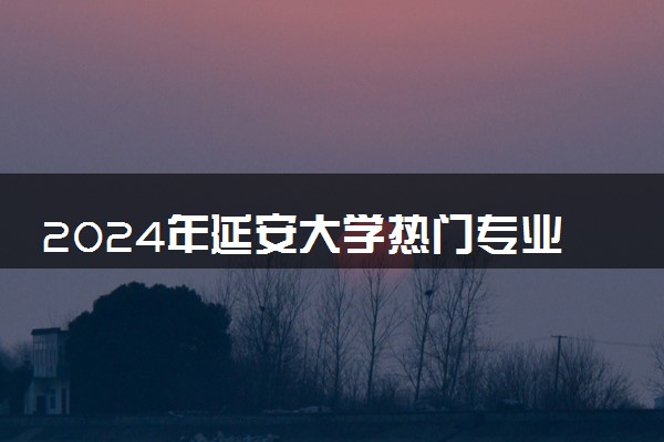 2024年延安大学热门专业全国排名 有哪些专业比较好