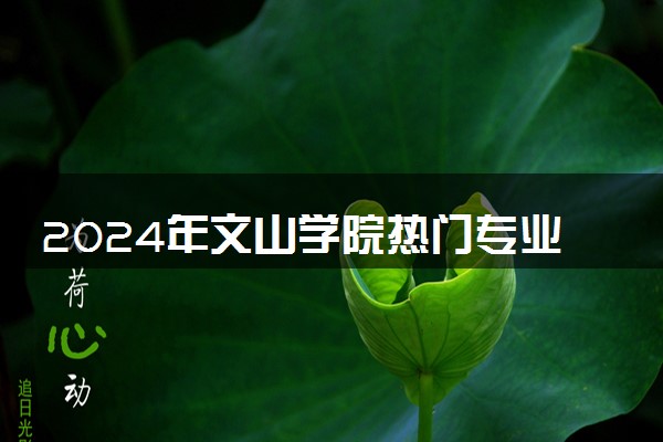 2024年文山学院热门专业全国排名 有哪些专业比较好