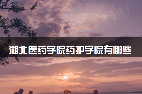 湖北医药学院药护学院有哪些热门专业 推荐的王牌专业