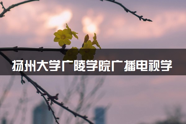 扬州大学广陵学院广播电视学专业怎么样 录取分数线多少
