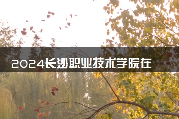 2024长沙职业技术学院在四川录取分数线 各专业分数及位次
