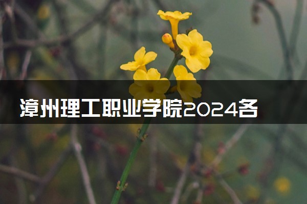 漳州理工职业学院2024各省录取分数线及最低位次是多少