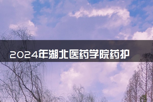 2024年湖北医药学院药护学院热门专业全国排名 有哪些专业比较好