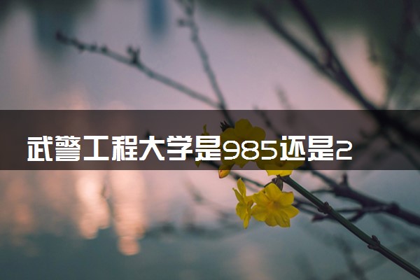 武警工程大学是985还是211 含金量怎么样
