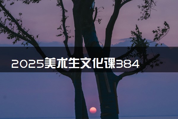 2025美术生文化课384分能上北京金融科技学院吗