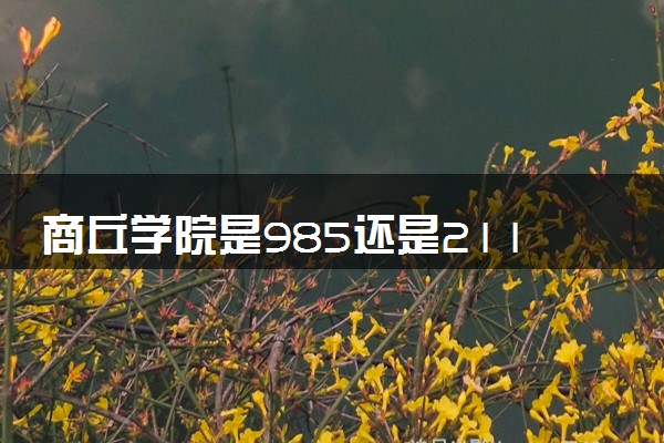 商丘学院是985还是211 含金量怎么样