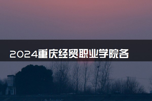 2024重庆经贸职业学院各省录取分数线是多少 最低分及位次