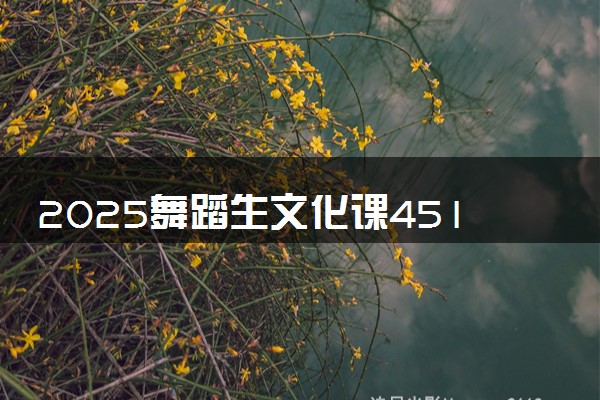 2025舞蹈生文化课451分能上湖北理工学院吗