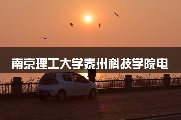 南京理工大学泰州科技学院电气工程及其自动化专业怎么样 录取分数线多少