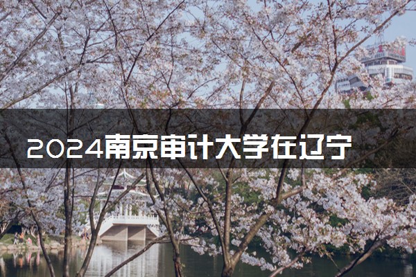 2024南京审计大学在辽宁录取分数线 各专业分数及位次