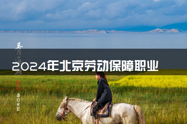 2024年北京劳动保障职业学院录取分数线是多少 各省最低分数线及位次