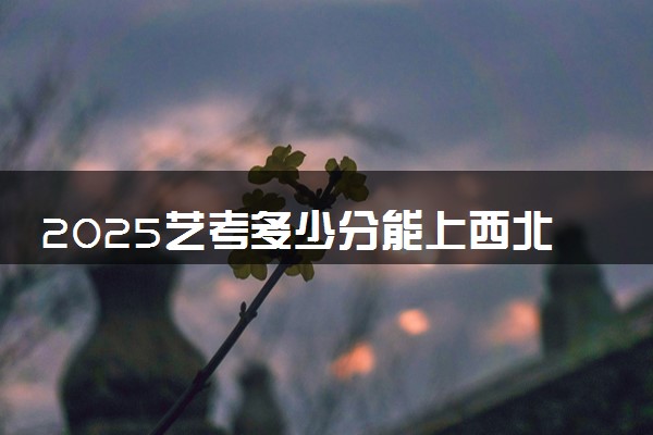 2025艺考多少分能上西北工业大学 最低分数线是多少