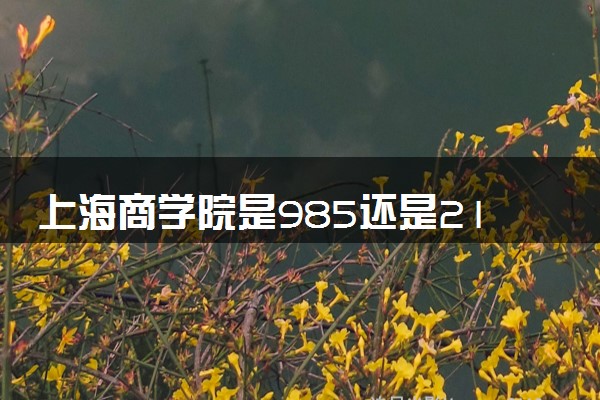 上海商学院是985还是211 含金量怎么样