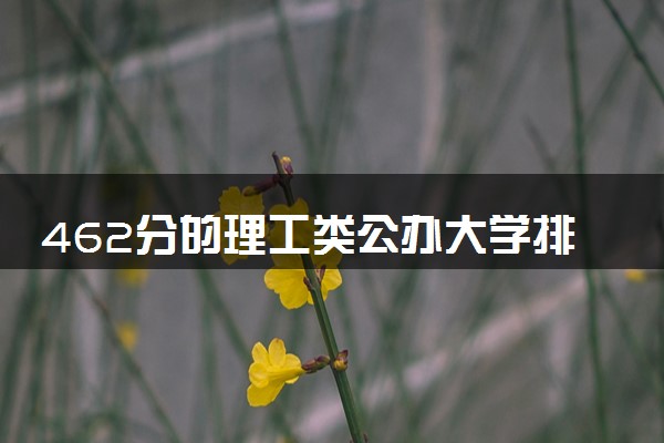 462分的理工类公办大学排行榜（2025考生参考)
