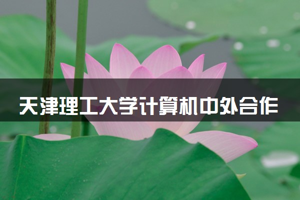 天津理工大学计算机中外合作办学的含金量 就业率如何