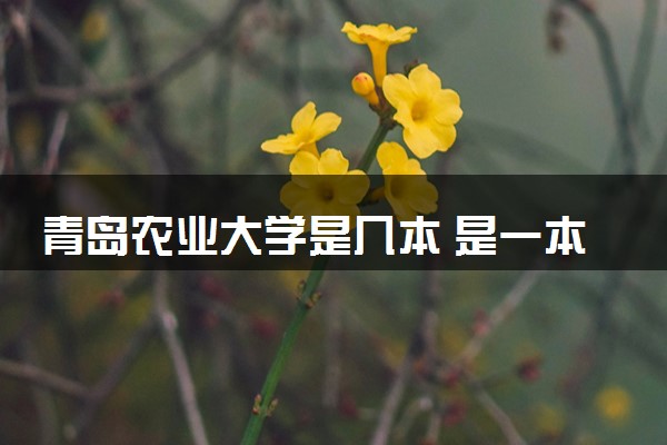 青岛农业大学是几本 是一本还是二本大学
