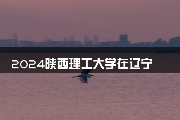 2024陕西理工大学在辽宁录取分数线 各专业分数及位次