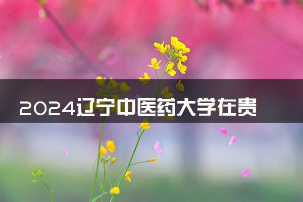 2024辽宁中医药大学在贵州录取分数线 各专业分数及位次