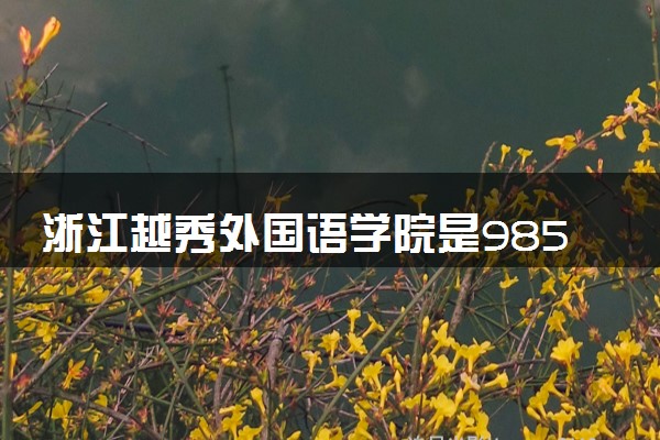 浙江越秀外国语学院是985还是211 含金量怎么样