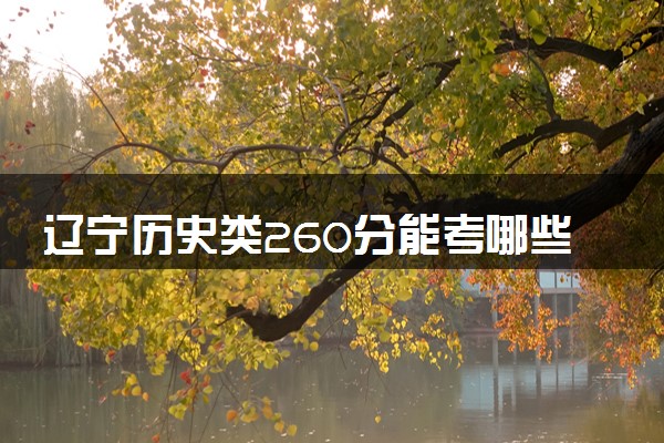 辽宁历史类260分能考哪些大学 2025考生稳上的大学名单