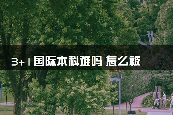 3+1国际本科难吗 怎么被录取
