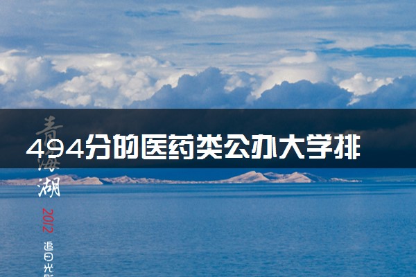 494分的医药类公办大学排行榜（2025考生参考)