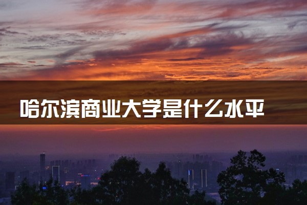 哈尔滨商业大学是什么水平 好不好考