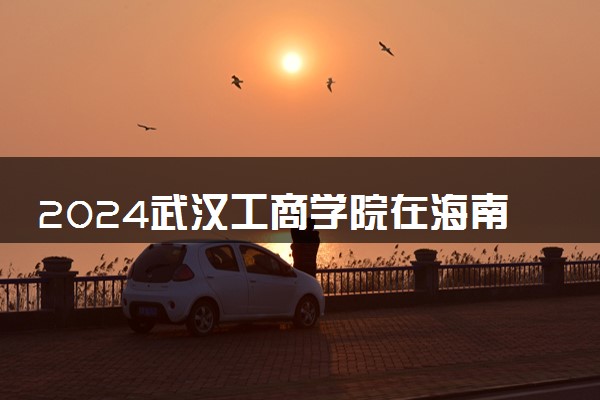 2024武汉工商学院在海南录取分数线 各专业分数及位次