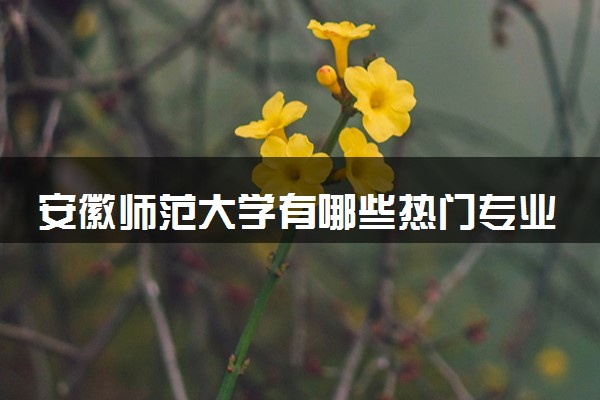 安徽师范大学有哪些热门专业 推荐的王牌专业