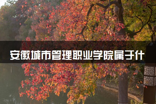安徽城市管理职业学院属于什么档次 学校好不好