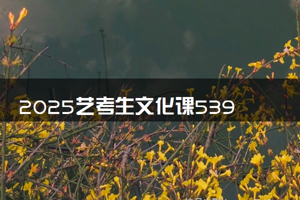 2025艺考生文化课539分能上西南政法大学吗