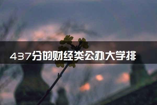 437分的财经类公办大学排行榜（2025考生参考)